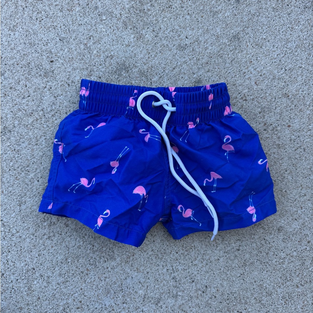 Binky Bro Bathing Suit Flamingos 6M-12M